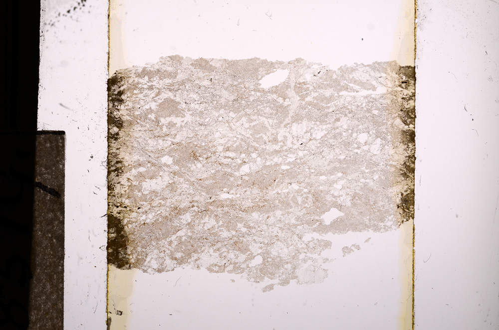 Plane Polarized, E8519