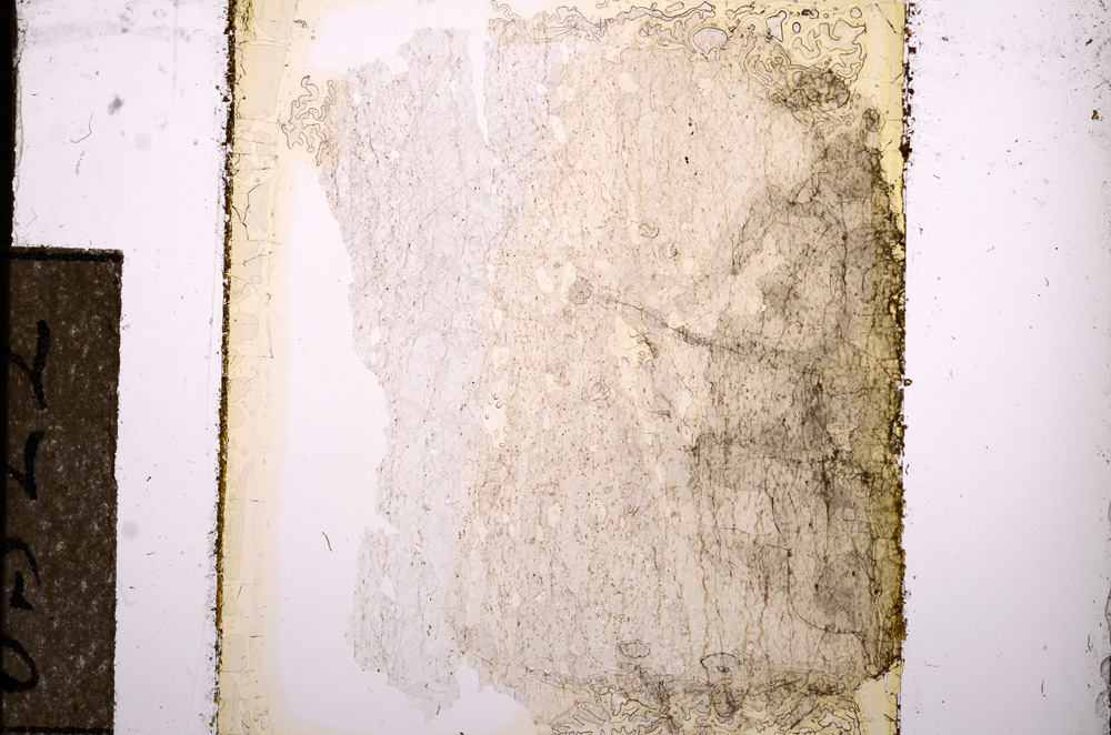 Plane Polarized, E8522