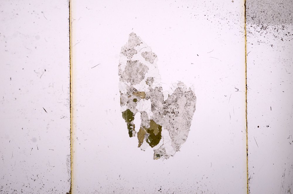 Plane Polarized, E8547