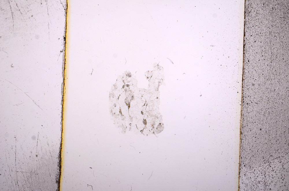 Plane Polarized, E8553