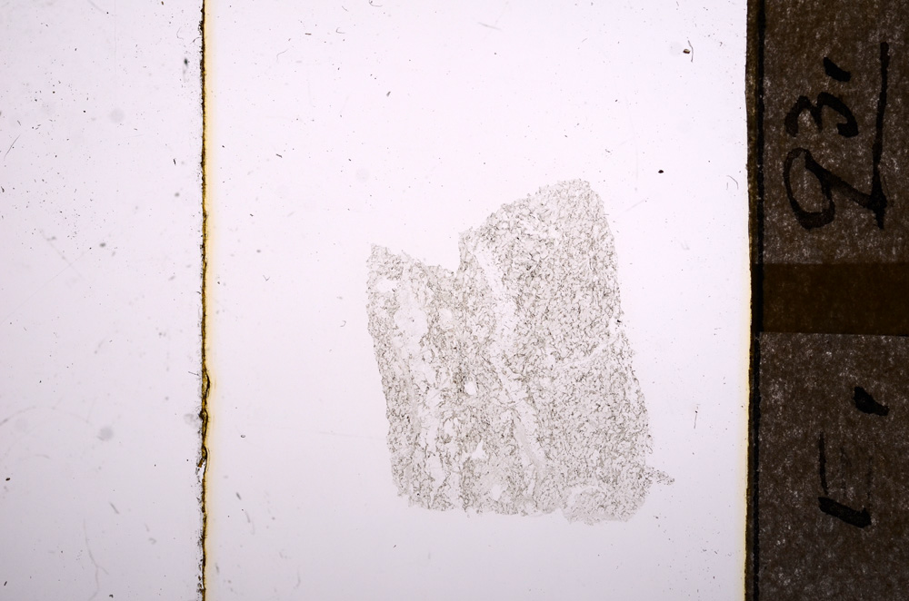 Plane Polarized, E8554