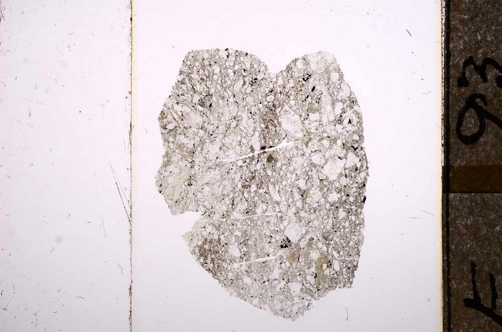 Plane Polarized, E8555