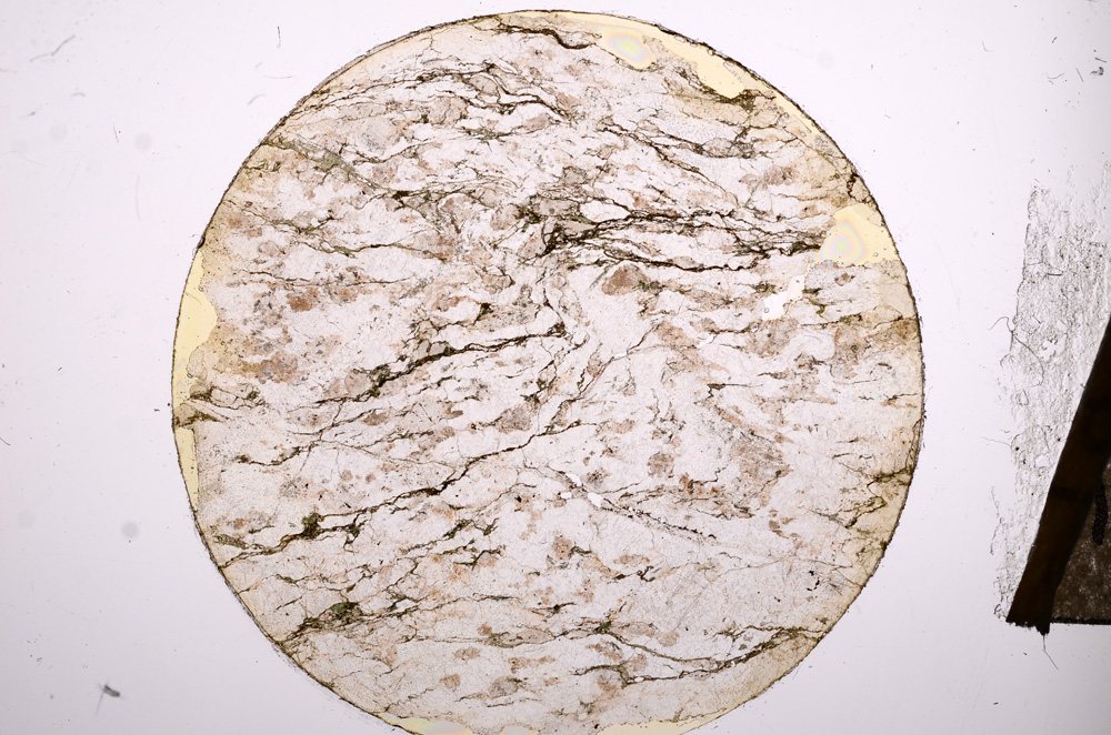 Plane Polarized, E8721