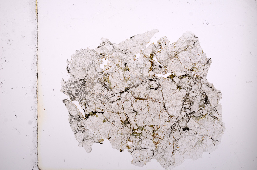 Plane Polarized, E8839