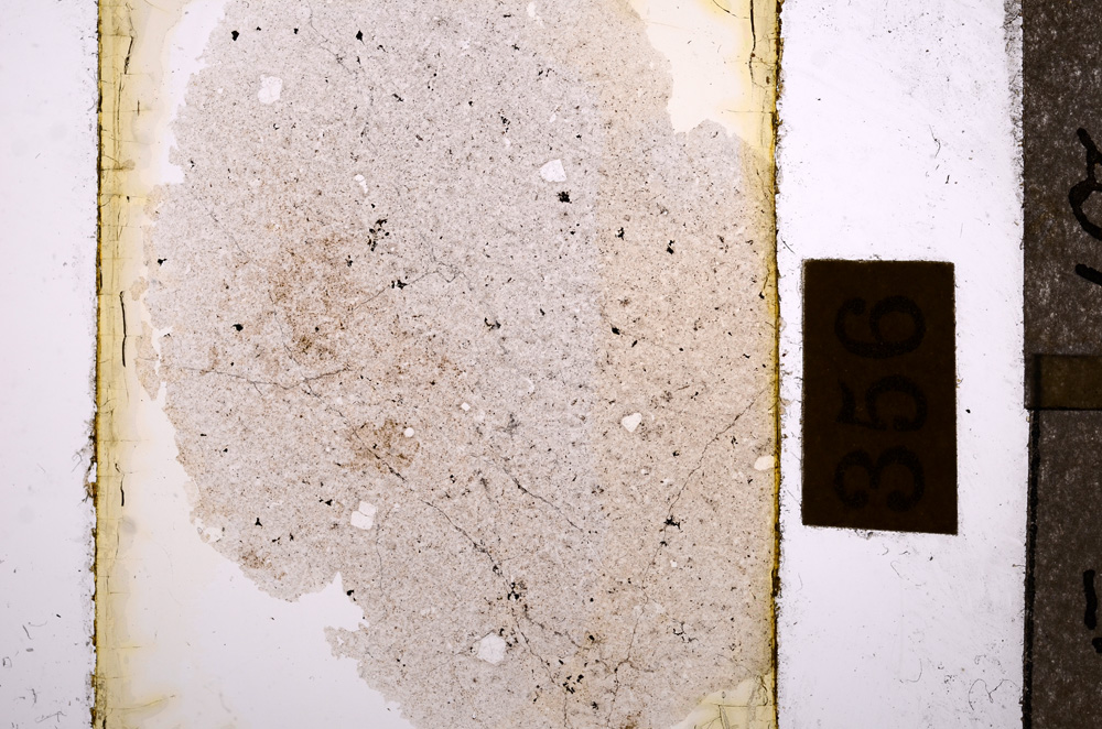 Plane Polarized, E8846