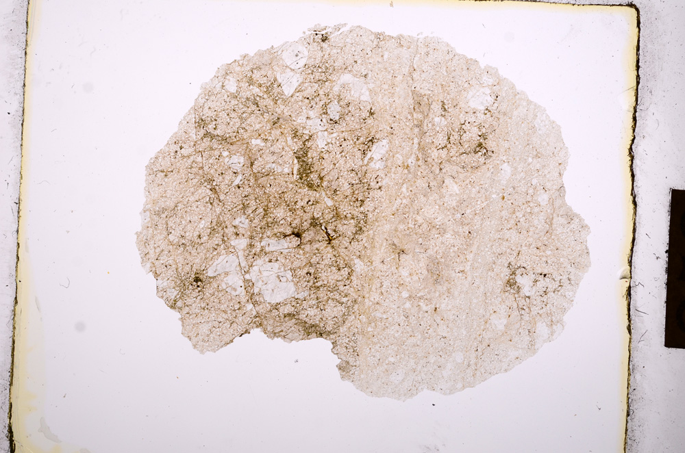 Plane Polarized, E8849