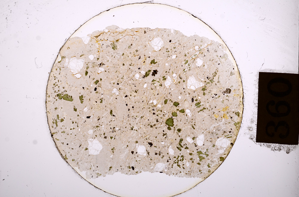 Plane Polarized, E8850