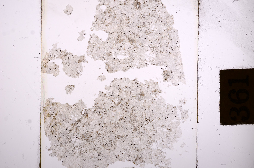 Plane Polarized, E8851