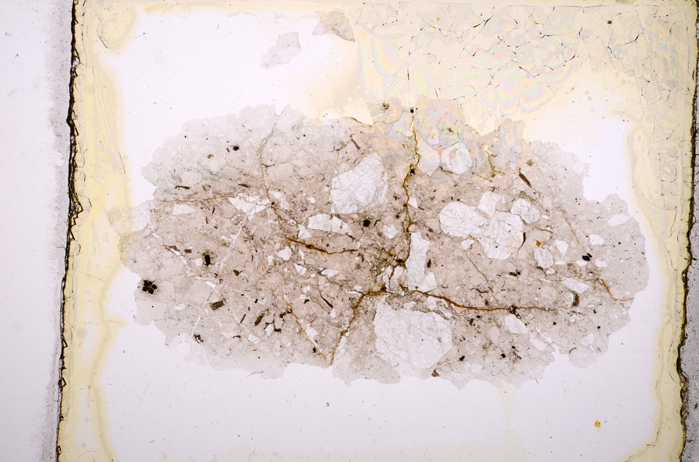 Plane Polarized, E8864