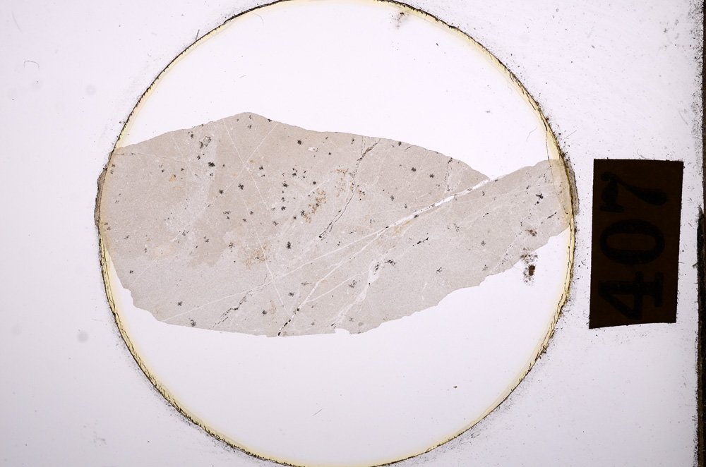 Plane Polarized, E8897