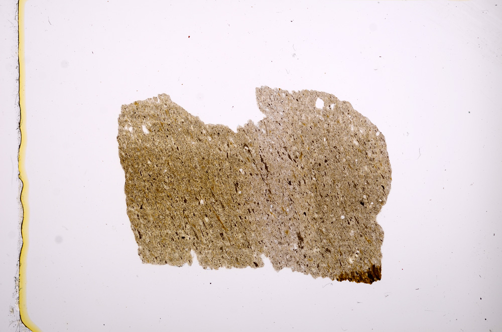 Plane Polarized, E8901