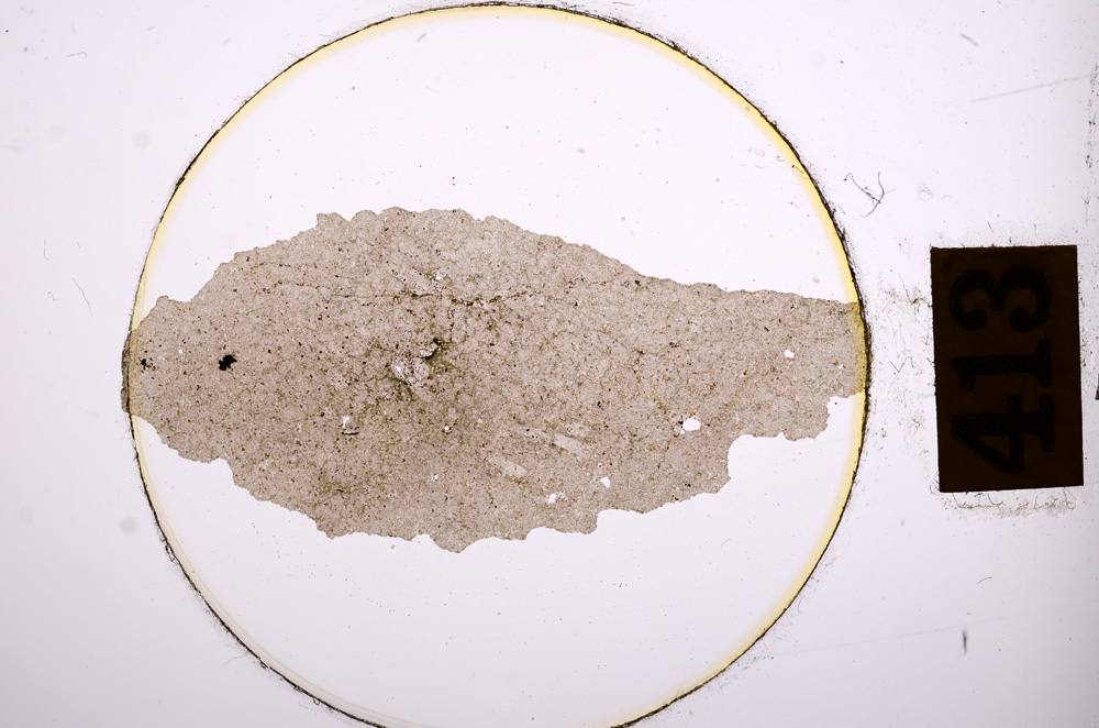 Plane Polarized, E8903