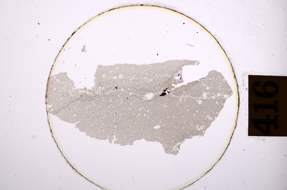 Plane Polarized, E8906