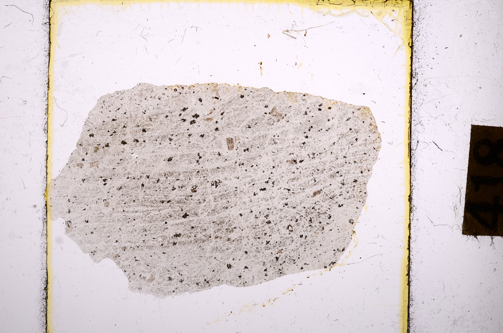 Plane Polarized, E8908