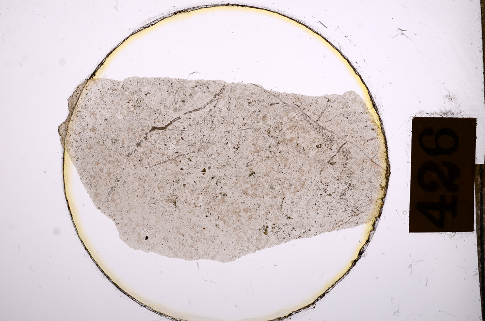 Plane Polarized, E8916