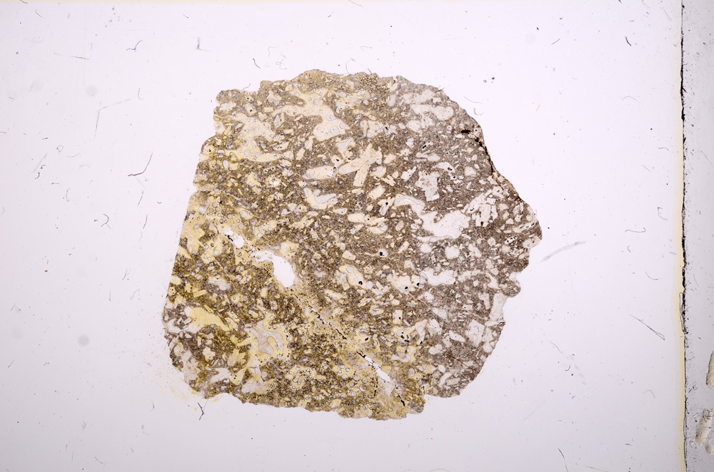 Plane Polarized, E8920