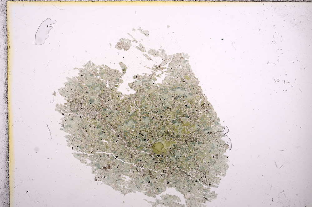 Plane Polarized, E8980