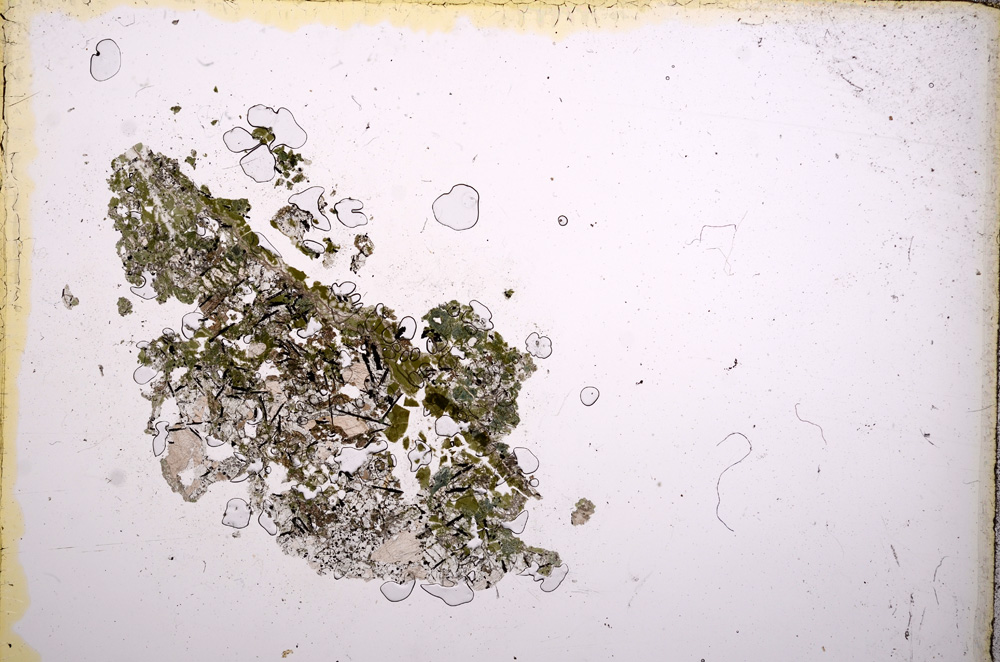 Plane Polarized, E8981