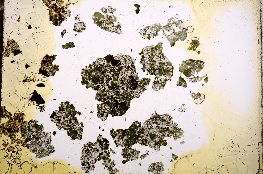 Plane Polarized, E8982