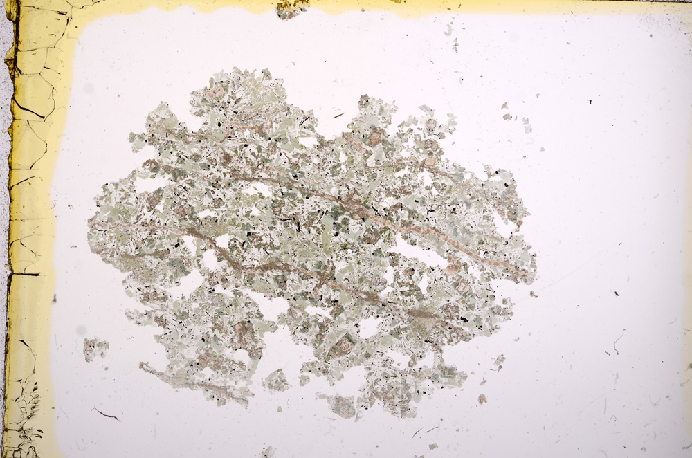 Plane Polarized, E8983