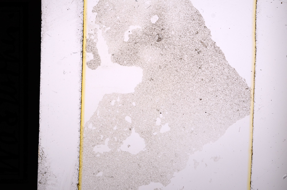 Plane Polarized, E9003