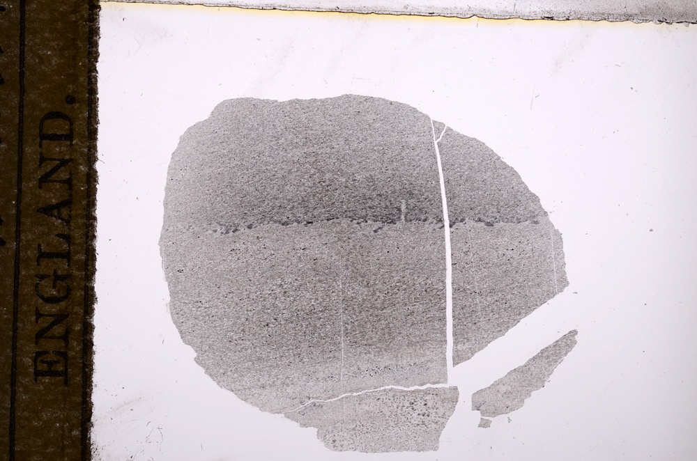 Plane Polarized, E9032