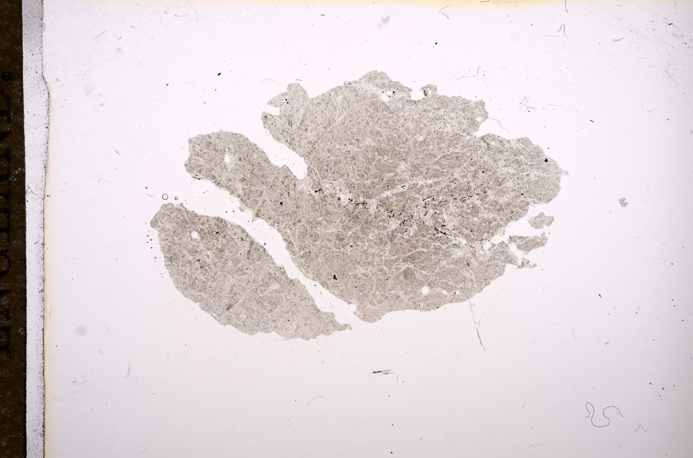 Plane Polarized, E9084