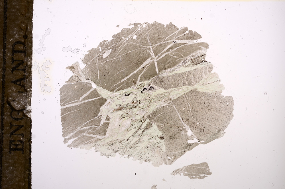 Plane Polarized, E9098