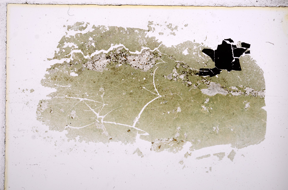 Plane Polarized, E9193