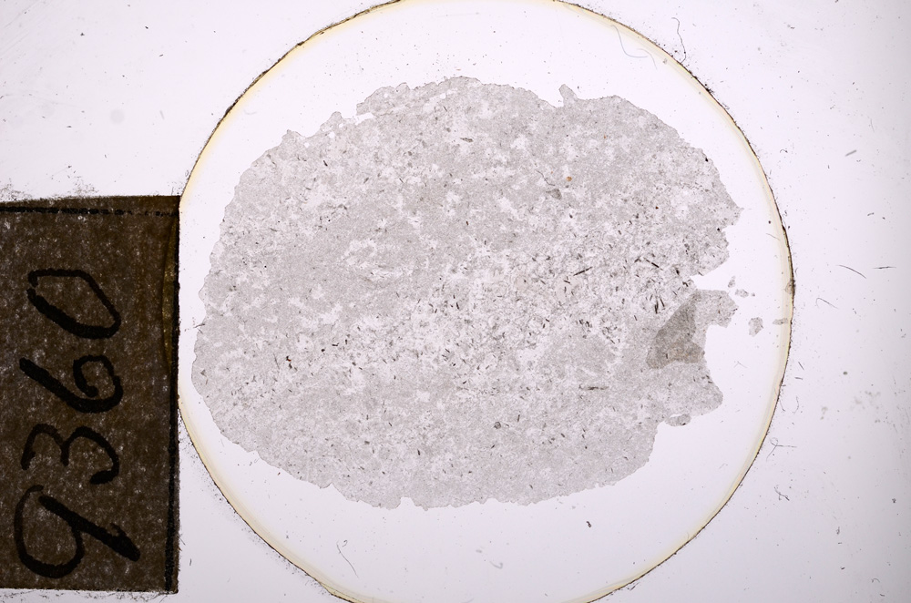 Plane Polarized, E9360