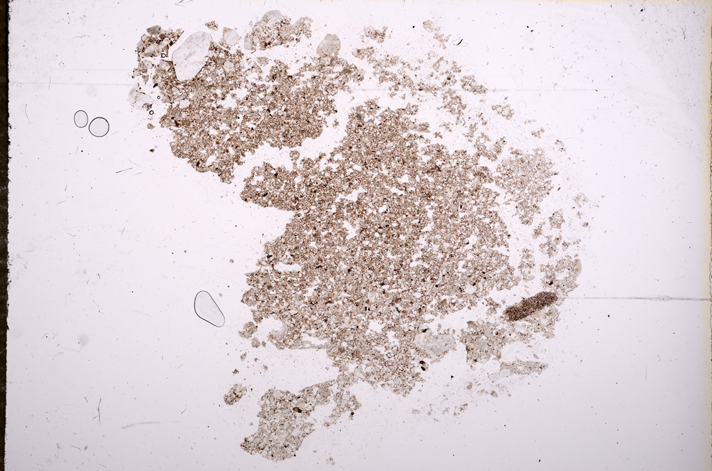 Plane Polarized, E9384