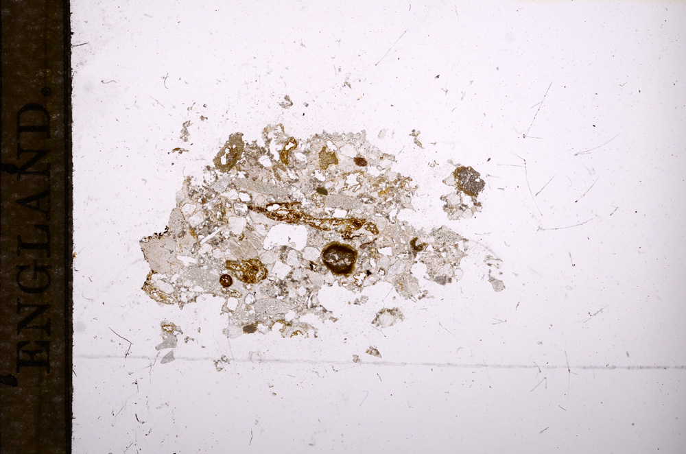 Plane Polarized, E9409