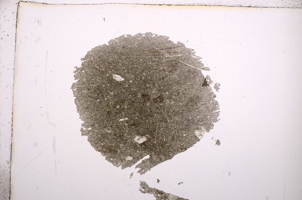 Plane Polarized, E9425