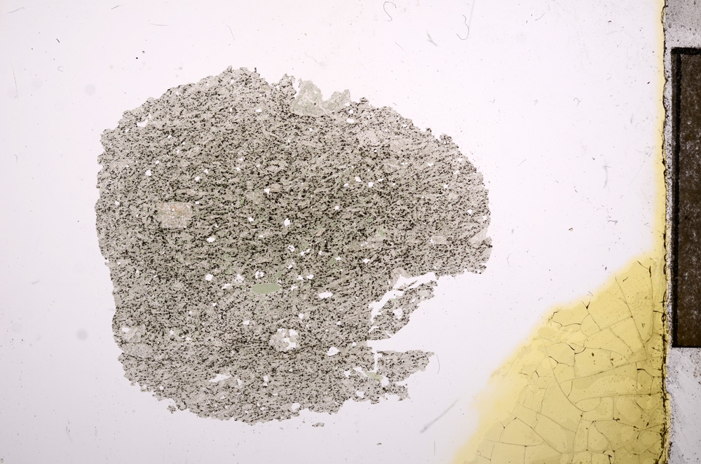 Plane Polarized, E9429