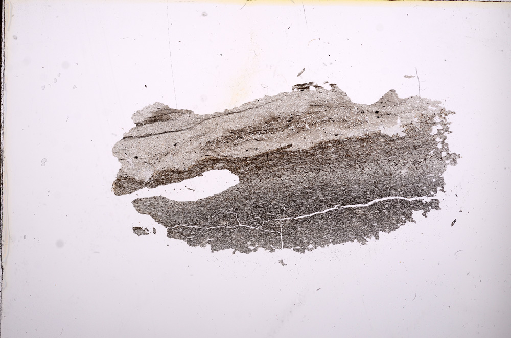 Plane Polarized, E9575