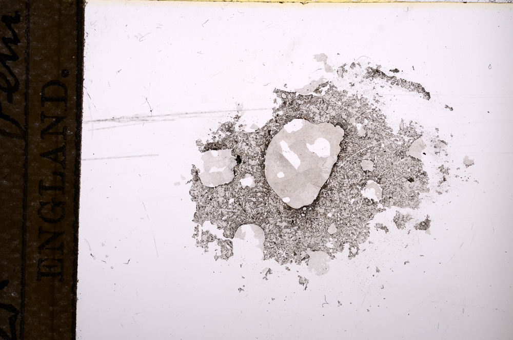 Plane Polarized, E9612