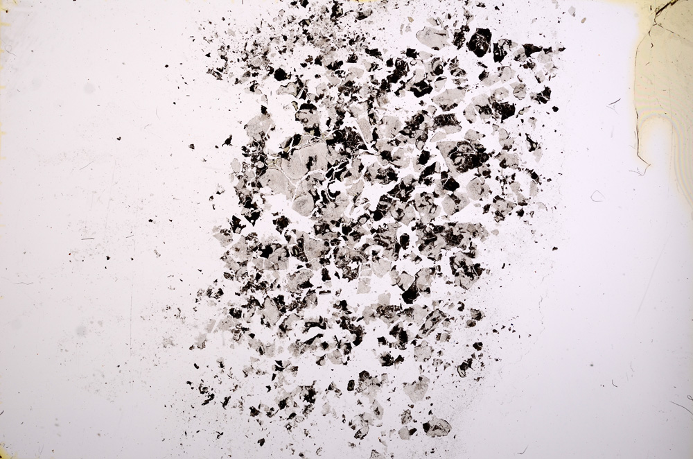 Plane Polarized, E9613