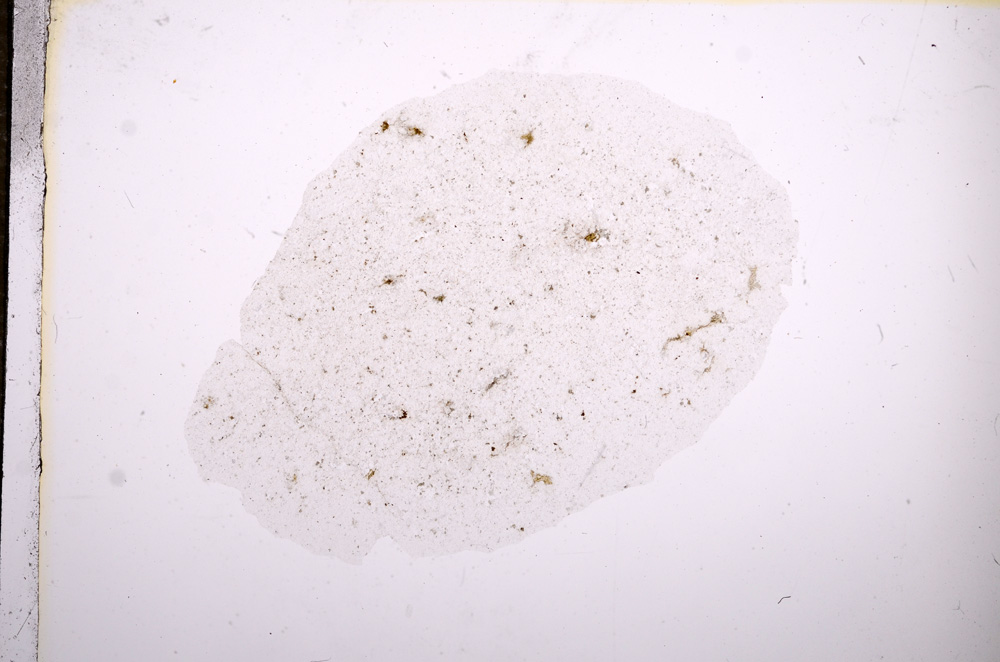 Plane Polarized, E9615