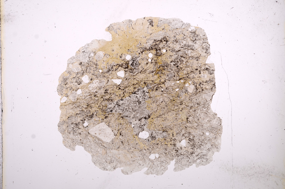 Plane Polarized, E9624