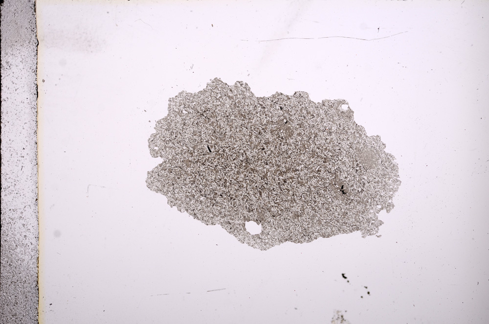 Plane Polarized, E9626