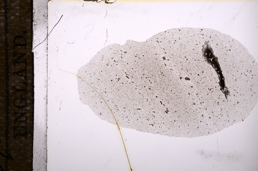 Plane Polarized, E9628