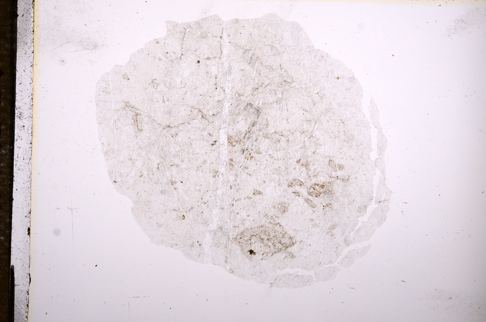 Plane Polarized, E9629