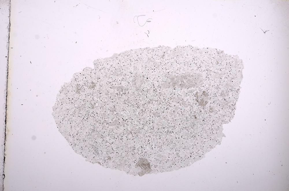 Plane Polarized, E9650