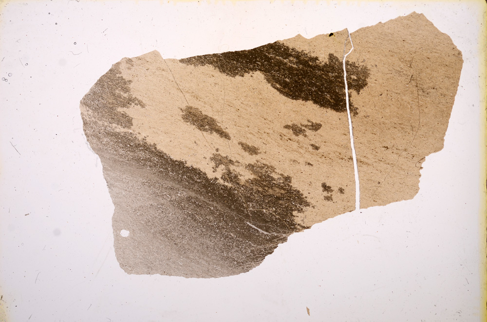 Plane Polarized, E9660