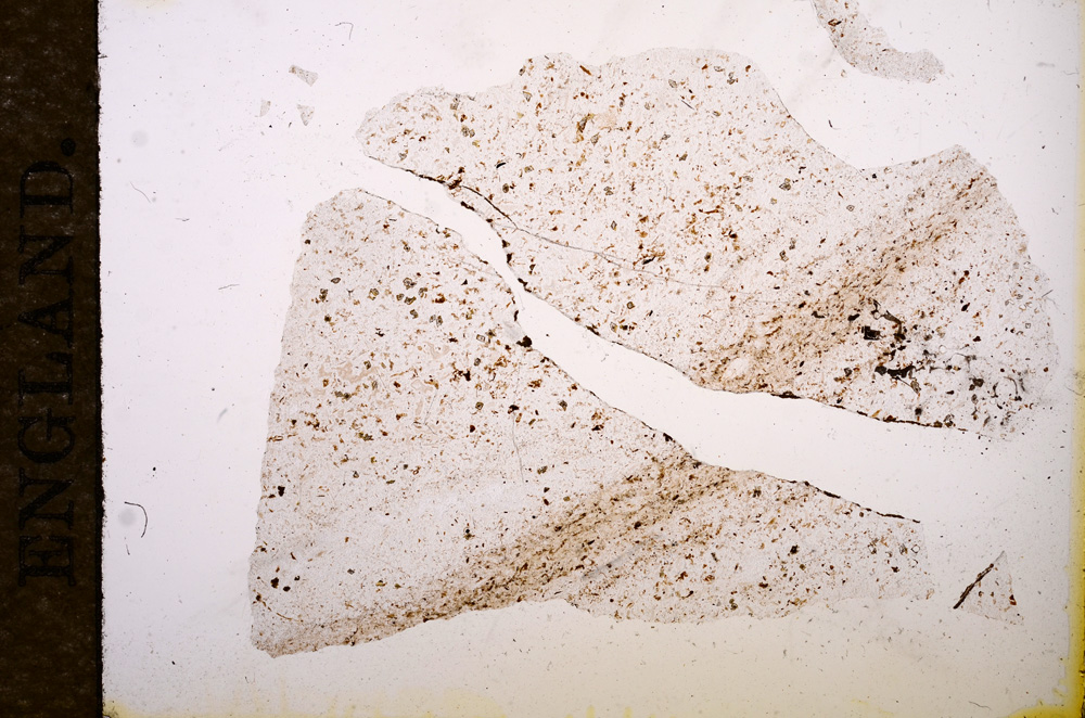 Plane Polarized, E9661