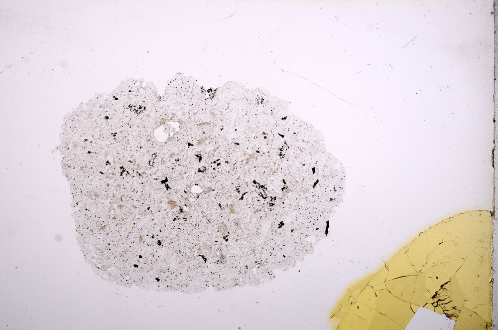 Plane Polarized, E9705