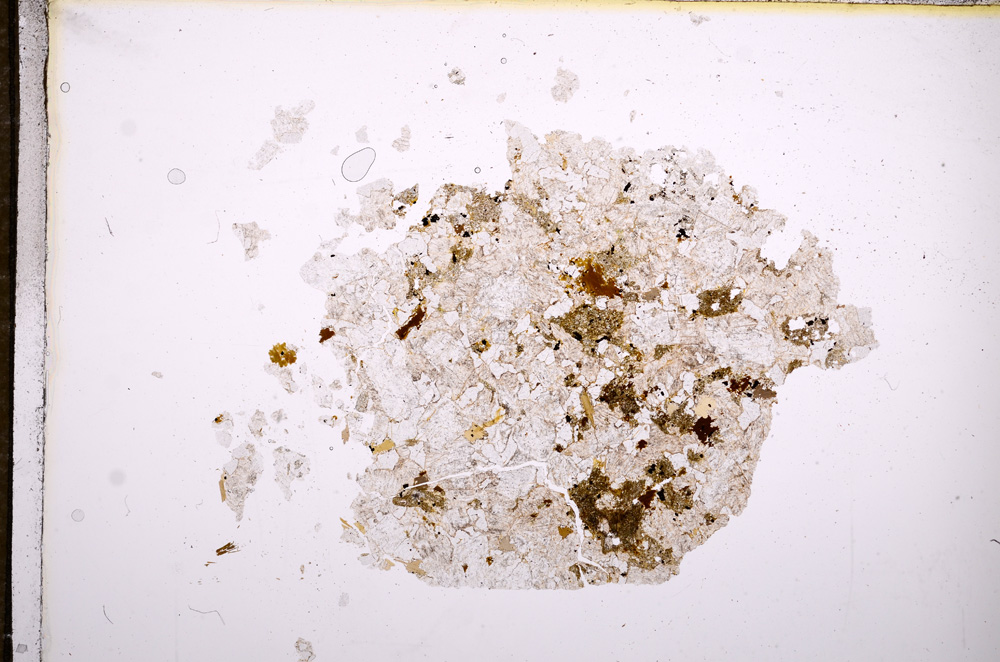 Plane Polarized, E9751