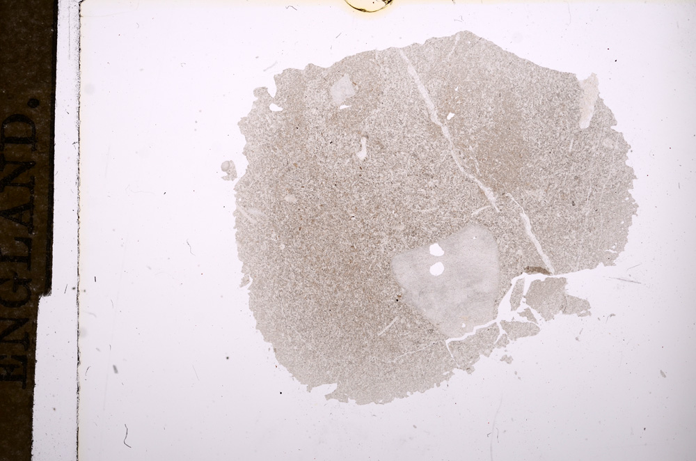 Plane Polarized, E9783