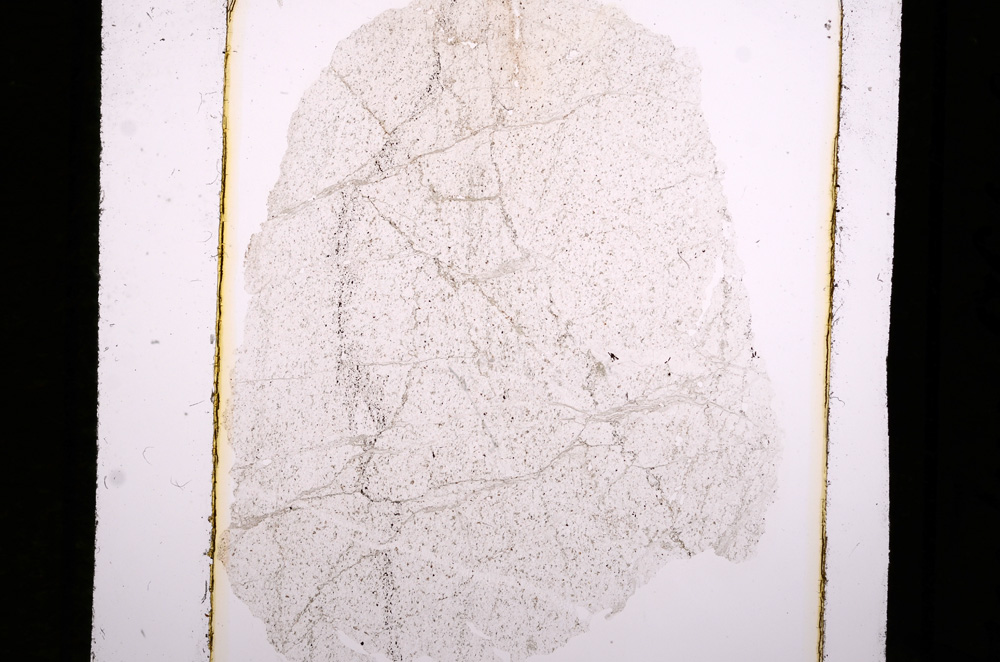 Plane Polarized, E10189