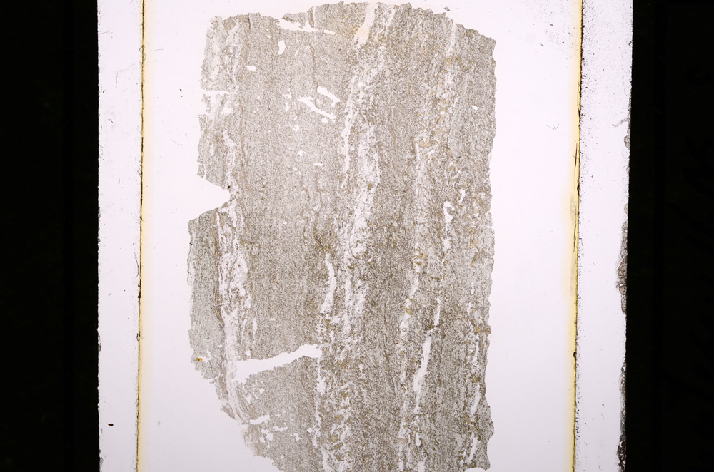 Plane Polarized, E10190